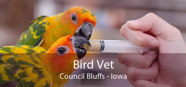 Bird Vet Council Bluffs - Iowa