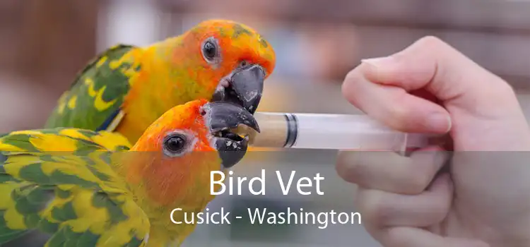 Bird Vet Cusick - Washington