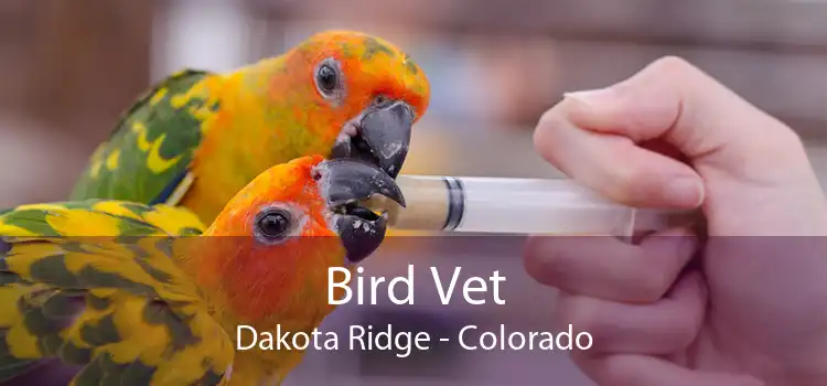 Bird Vet Dakota Ridge - Colorado