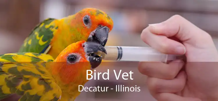 Bird Vet Decatur - Illinois