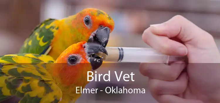 Bird Vet Elmer - Oklahoma