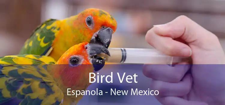 Bird Vet Espanola - New Mexico