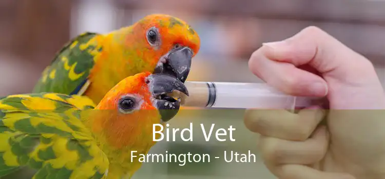 Bird Vet Farmington - Utah