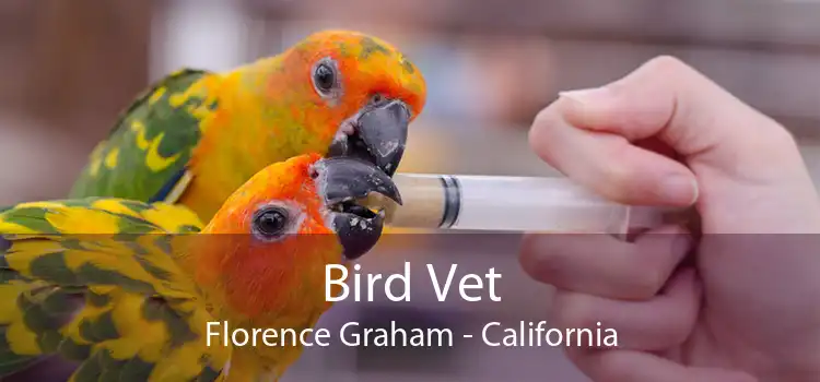 Bird Vet Florence Graham - California