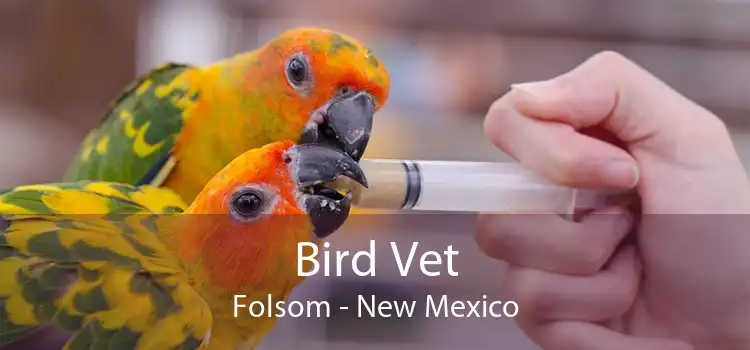 Bird Vet Folsom - New Mexico