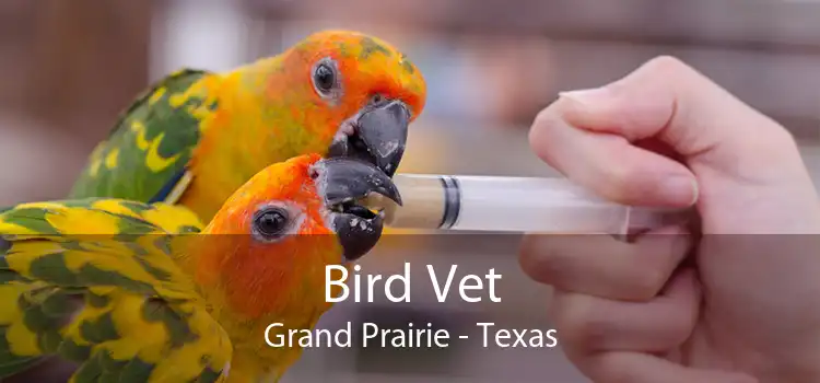 Bird Vet Grand Prairie - Texas