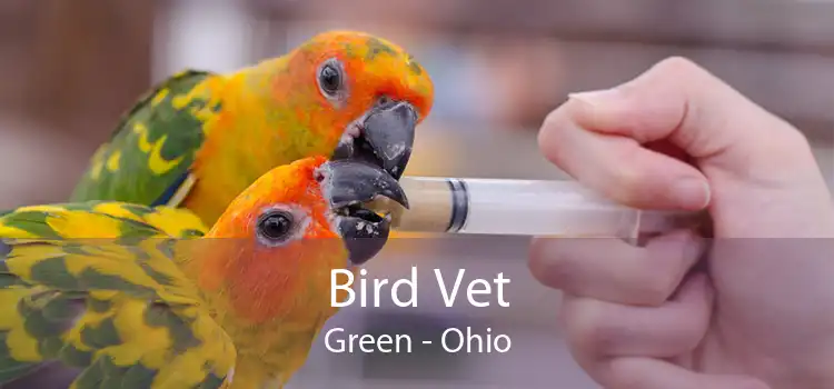 Bird Vet Green - Ohio