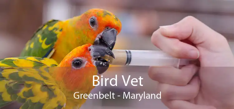 Bird Vet Greenbelt - Maryland