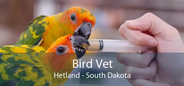 Bird Vet Hetland - South Dakota