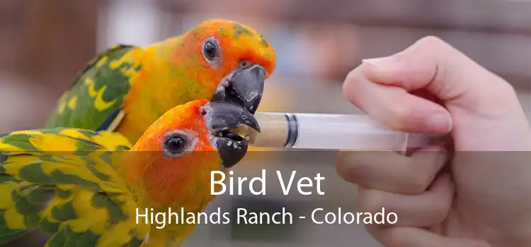 Bird Vet Highlands Ranch - Colorado