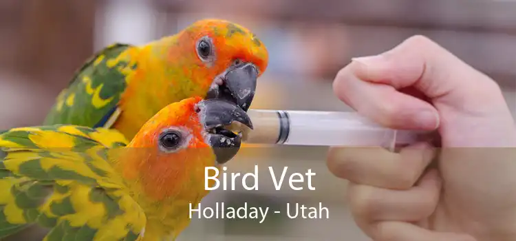 Bird Vet Holladay - Utah