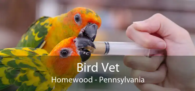 Bird Vet Homewood - Pennsylvania