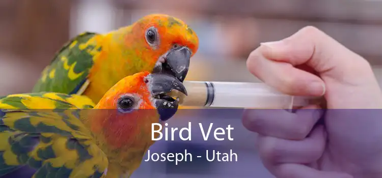 Bird Vet Joseph - Utah