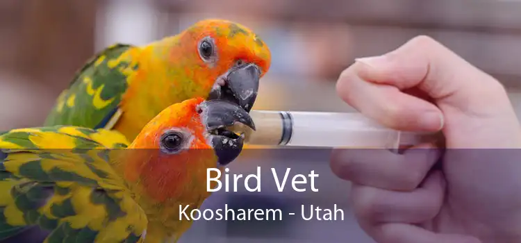 Bird Vet Koosharem - Utah