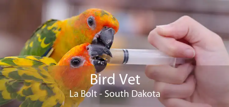 Bird Vet La Bolt - South Dakota