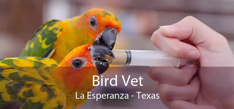 Bird Vet La Esperanza - Texas