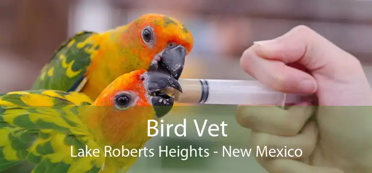 Bird Vet Lake Roberts Heights - New Mexico