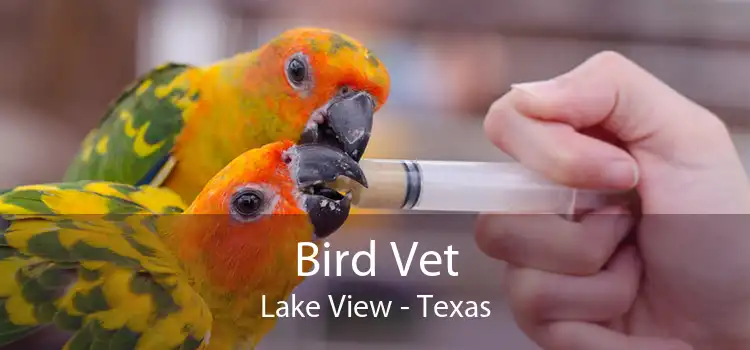 Bird Vet Lake View - Texas