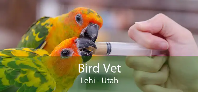 Bird Vet Lehi - Utah