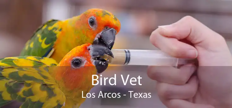 Bird Vet Los Arcos - Texas