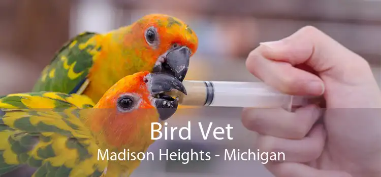 Bird Vet Madison Heights - Michigan