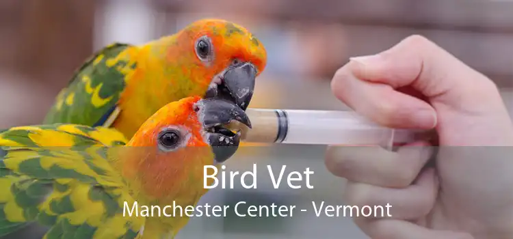 Bird Vet Manchester Center - Vermont