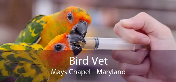 Bird Vet Mays Chapel - Maryland