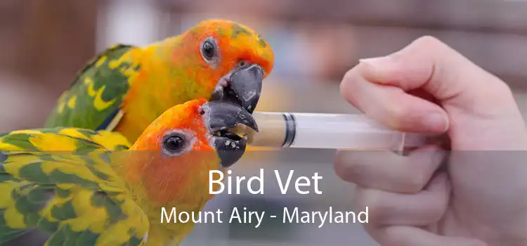 Bird Vet Mount Airy - Maryland