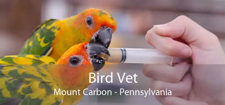 Bird Vet Mount Carbon - Pennsylvania