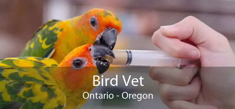 Bird Vet Ontario - Oregon