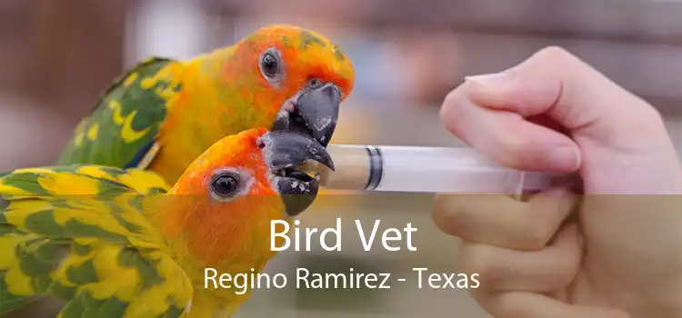 Bird Vet Regino Ramirez - Texas