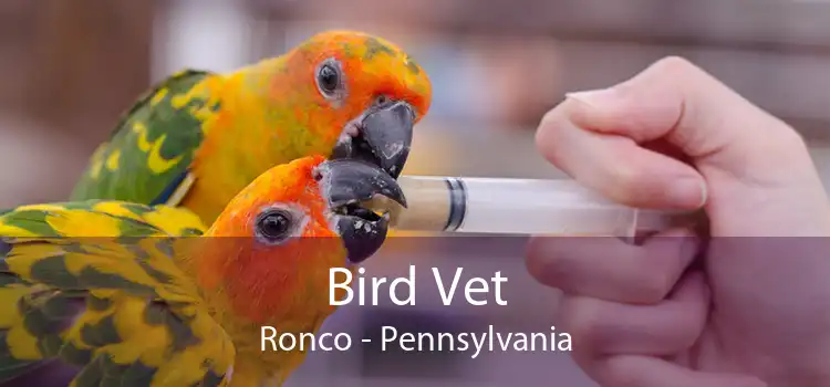 Bird Vet Ronco - Pennsylvania