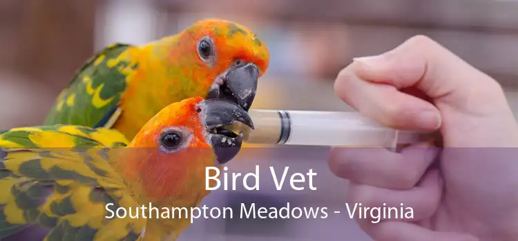 Bird Vet Southampton Meadows - Virginia