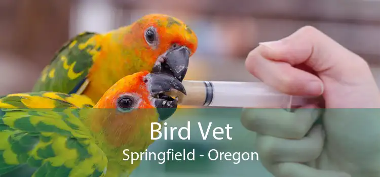 Bird Vet Springfield - Oregon