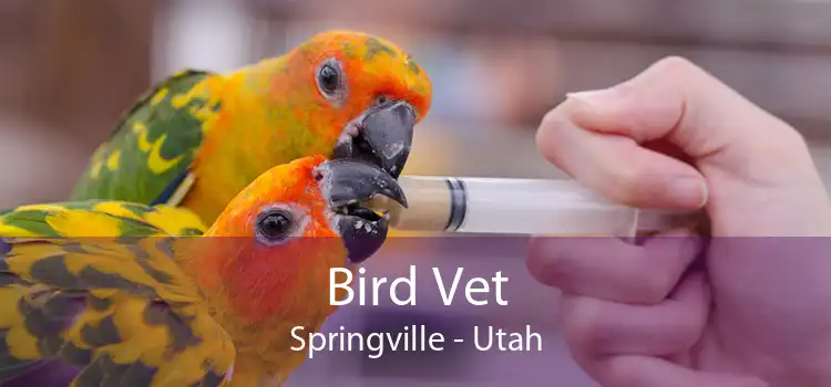 Bird Vet Springville - Utah