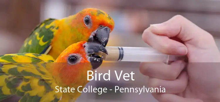 Bird Vet State College - Pennsylvania