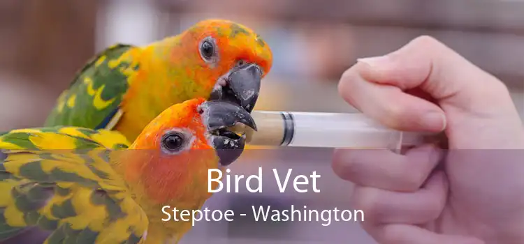 Bird Vet Steptoe - Washington