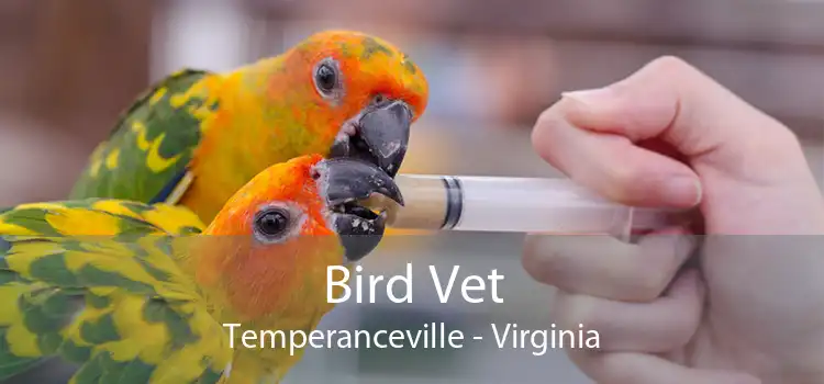 Bird Vet Temperanceville - Virginia