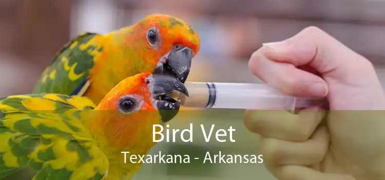 Bird Vet Texarkana - Arkansas