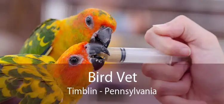 Bird Vet Timblin - Pennsylvania