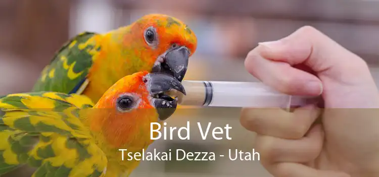 Bird Vet Tselakai Dezza - Utah
