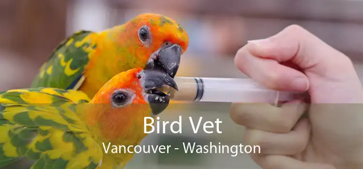 Bird Vet Vancouver - Washington