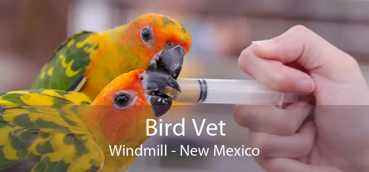 Bird Vet Windmill - New Mexico