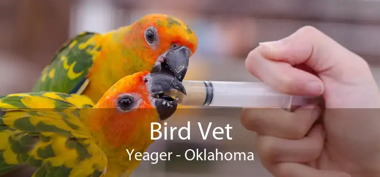 Bird Vet Yeager - Oklahoma