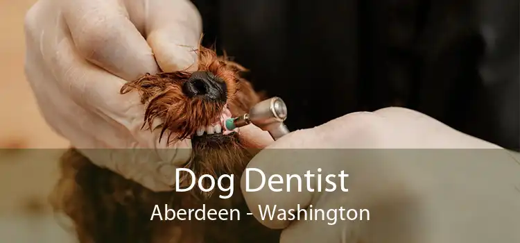 Dog Dentist Aberdeen - Washington