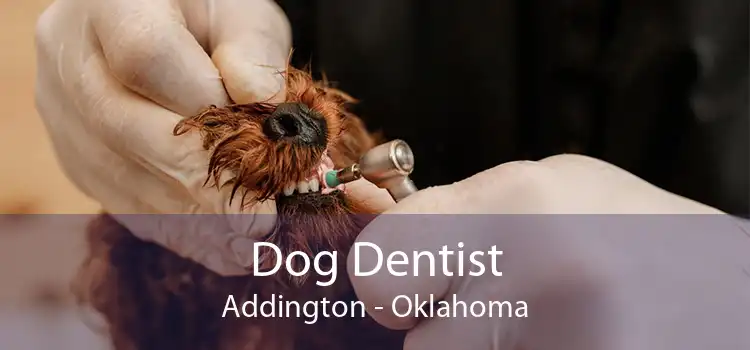 Dog Dentist Addington - Oklahoma