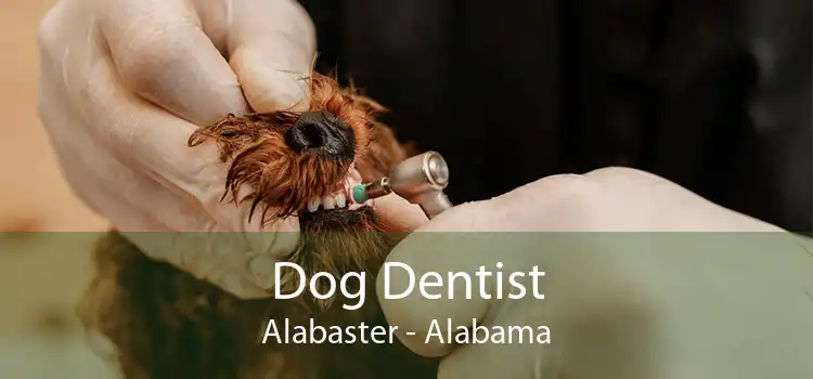 Dog Dentist Alabaster - Alabama