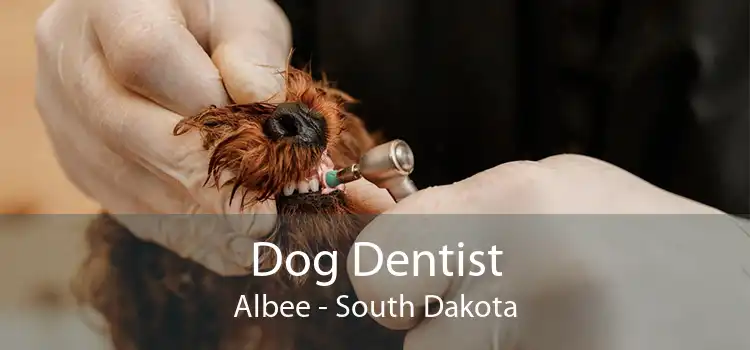 Dog Dentist Albee - South Dakota
