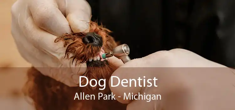 Dog Dentist Allen Park - Michigan