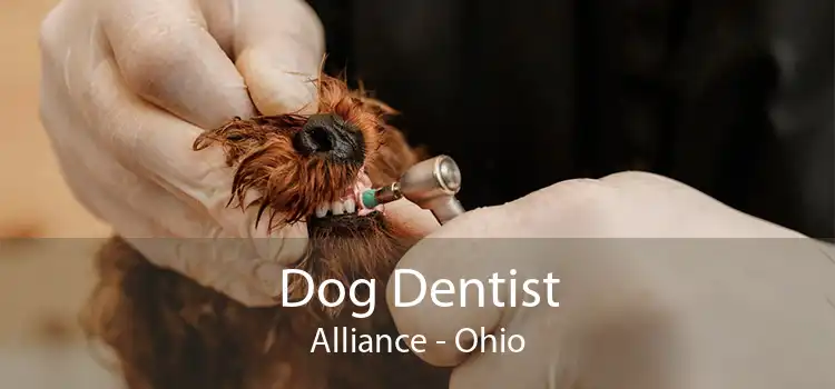 Dog Dentist Alliance - Ohio